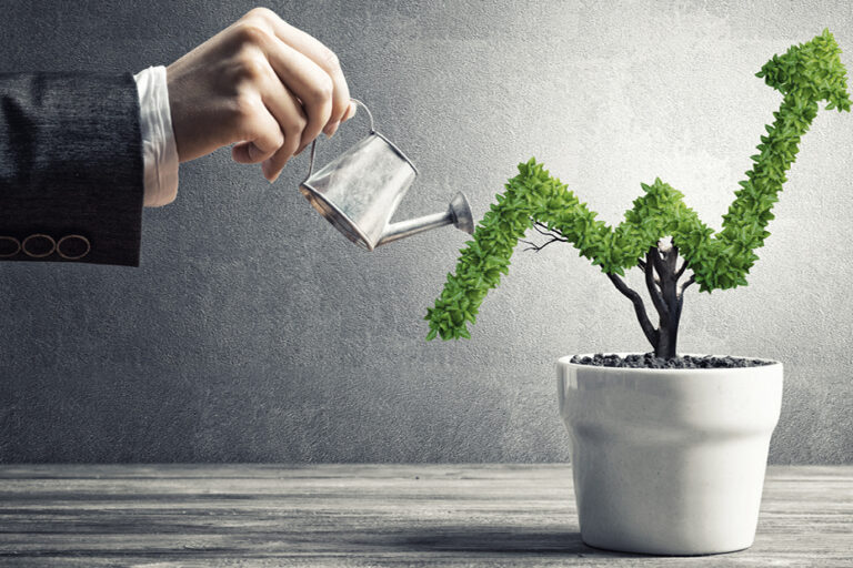 Working ON Your Business vs IN Your Business | CroydonGate